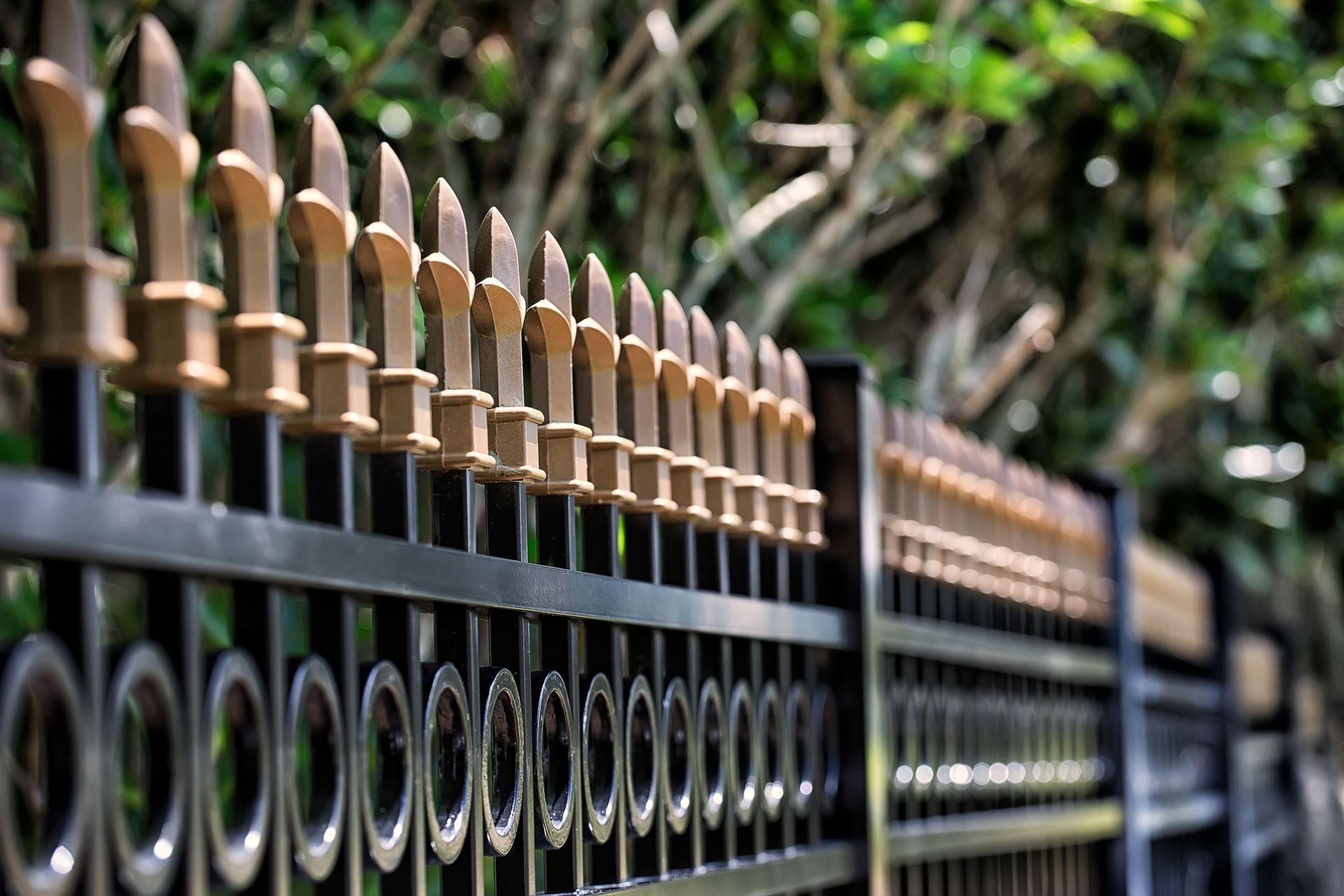 Black metal fence with gold accents, green foliage background.