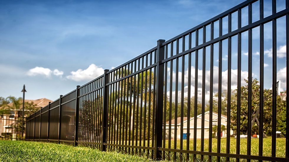 Black metal fence on green grass under a blue sky with trees and buildings in the background.